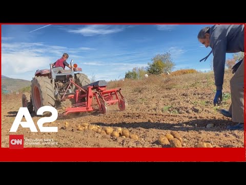 Patatja 2 kg e Shishtavecit, fshati i Kukësit mes braktisjes dhe shpresës