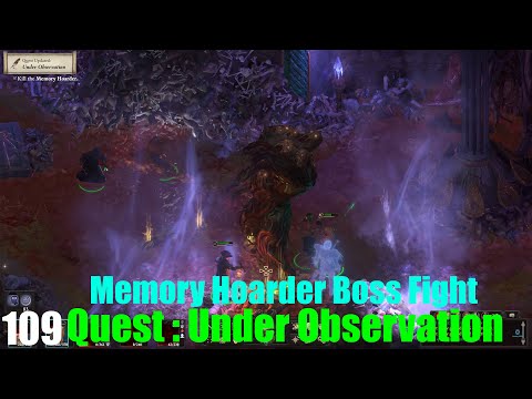 Quest: Under Observation - Pillars of Eternity II : Deadfire (Veteran Walkthrough) Part 109