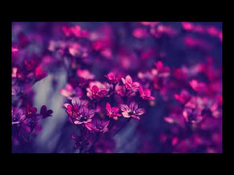 Einsigartig - Teil einer Geschichte