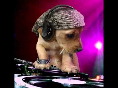 Guru Josh Project - Infinity --Black Eyed Peas - I Gotta Feeling, Meet Me Halfway