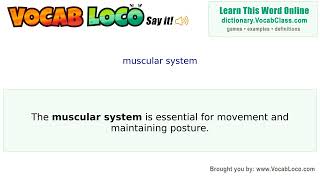 Video thumbnail for muscular system