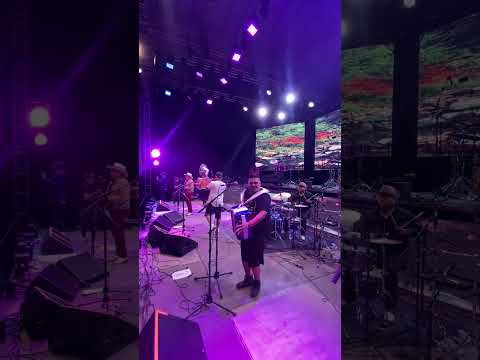 Los Pikadientes de Caborca | La Cumbia del Rio | En vivo.