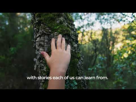 FAO Park's Global Library of Trees and Flowers