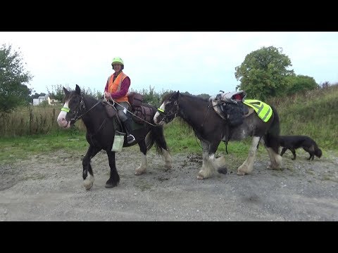 Mit zwei Pferden auf einem Wanderritt am Fluss Shannon in Irland entlang