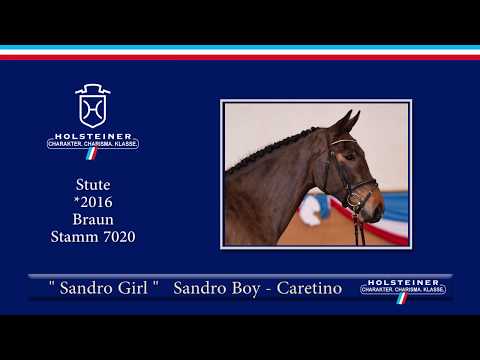Holsteiner Frühjahrsauktion 2019 | Nr. 08 - Sandro Girl v. Sandro Boy - Caretino