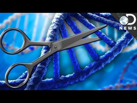 What is CRISPR & How Could It Edit Your DNA? Video