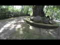 Наши на Бали (04) - Храм Танах Лот, Лес Обезьян в Убуде 