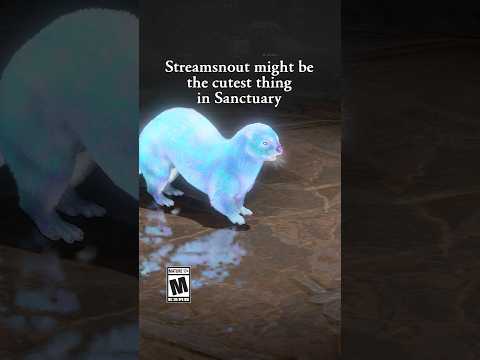 Diablo IV | BlizzCon 2026 | Streamsnout Pet Cuteness