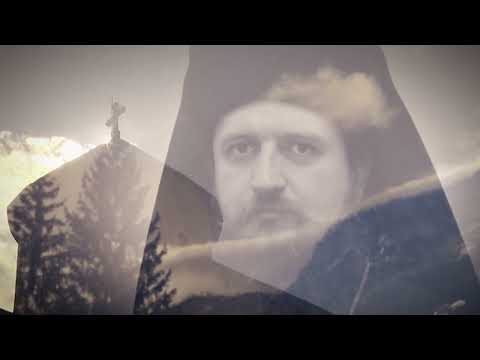 Лоза благородна РТРС/ Loza blagorodna RTRS