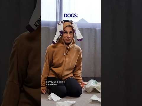 NGL I’m a dog person 🐶 do you prefer dogs or cats? 👇#funny #relatable #comedy