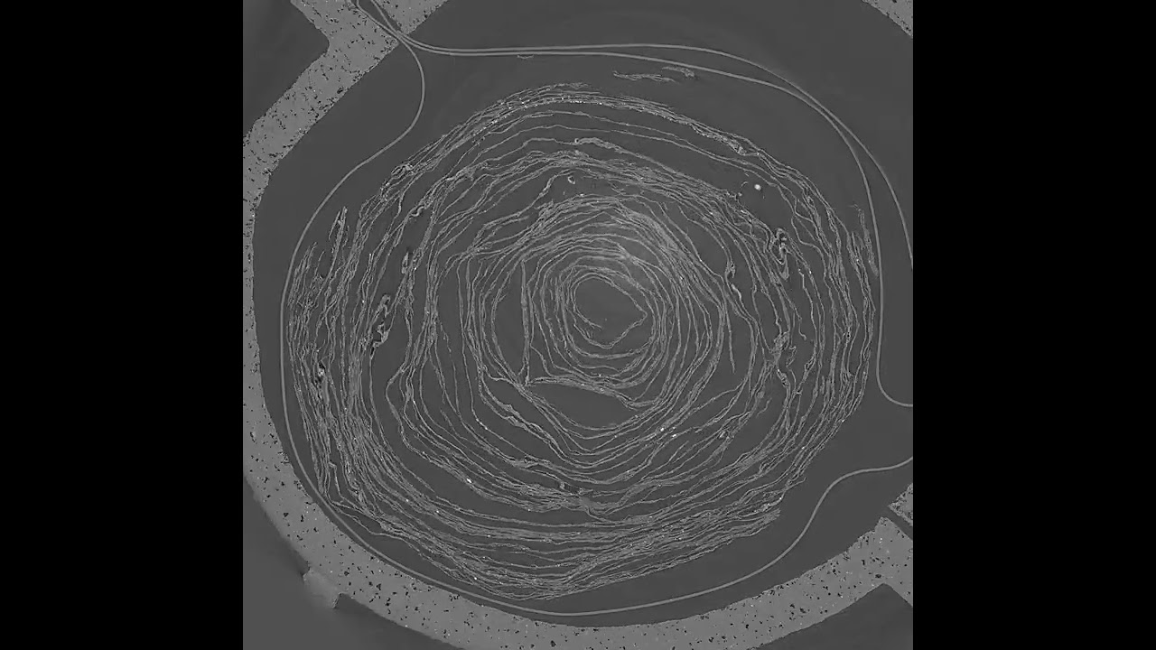 Scroll 4 (PHerc. 1667)