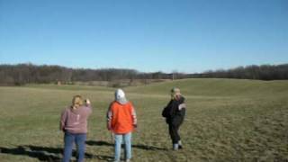 preview picture of video 'Ramsay @ his first Lure Coursing Event - got his JC title'