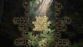 עוֹשֶׂה מַעֲשֵׂה זִמְרִי וּמְבַקֵּשׁ שָׂכָר כְּפִנְחָס (הרב שי עובד) - התמונה מוצגת ישירות מתוך אתר האינטרנט יוטיוב. זכויות היוצרים בתמונה שייכות ליוצרה. קישור קרדיט למקור התוכן נמצא בתוך דף הסרטון