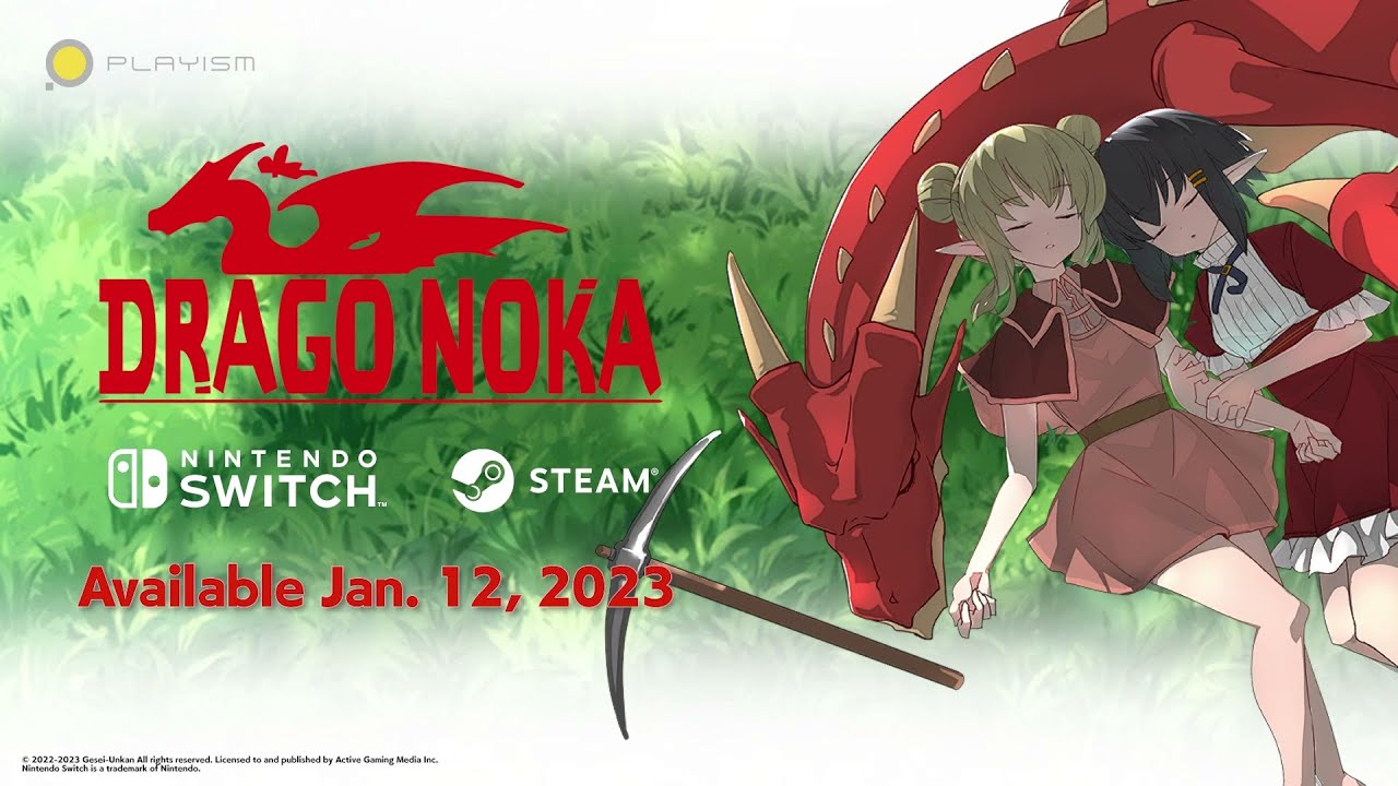 Purchase Cheap Drago Noka PC Steam Preloaded Account Electronic First