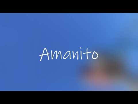 Amanito - Mirror (prod. Mark1) Lyric video