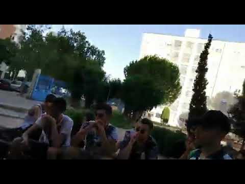 Pipe33 vs Palenzu - SEMIFINALES - Cocoliche Battles