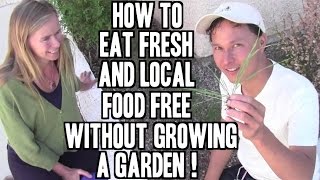 Eat Fresh & Local Food FREE without Growing a Garden