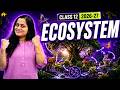 Ecosystem Class 12 One Shot Biology NCERT Chapter 12 CBSE NEET
