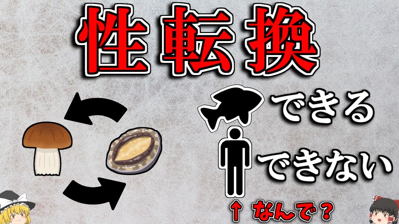 【ゆっくり解説】ヒトが性転換できないわけー進化の制約ー