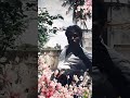 Rajini Songs