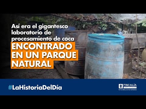 Así era el gigantesco laboratorio de procesamiento de coca encontrado en un parque natural