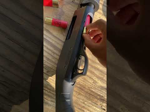 All Generations Shotguns from RIA Imports: What's Hot in Shooting | Shotgun | Home Defense| All Ages