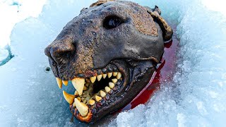 Animales CONGELADOS en el HIELO que NO Deberían EXISTIR… ¿De DÓNDE SALIERON?