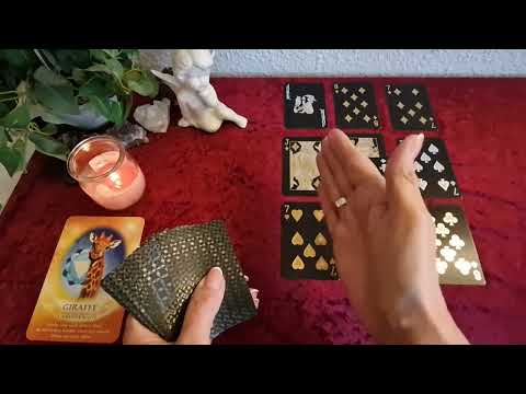 WEEKLY ORACLE (February 16-22, 2026) Don't be afraid of change—everything will be alright! The ti...