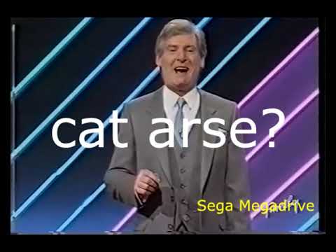 YTP: A Sexist, Deaf, Bali-Taking Over, and Pigcock Catchphrase