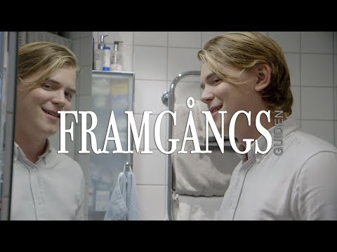 FRAMGÅNGSGUIDEN