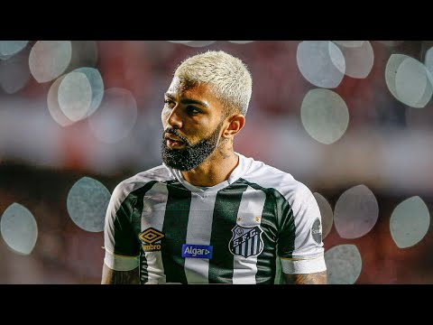 Gabriel Barbosa's 84 goals for Santos ᴴᴰ