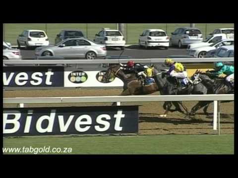 20151104 Greyville Race 6 won by CAPEL TOP