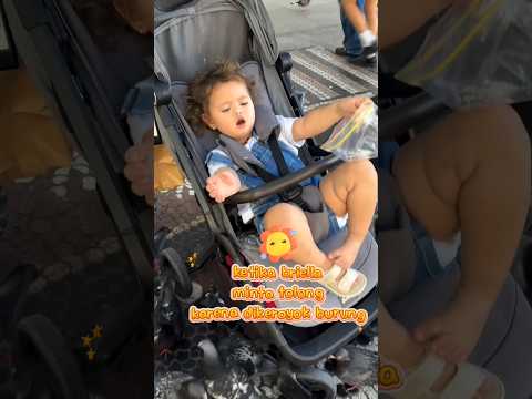 Briella vs burung #briella #bayilucungoceh #shortvideo #shortsfeed #shortsviral #fypシ゚viral