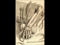 D Creation - Wish Beyond A Dream 