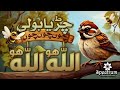 Chirya Boli Choo Choo Choo Allah Hoo Allah Hoo 30 Minutes Poem