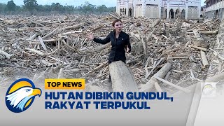 Download lagu Lautan Kayu Iringi Banjir di Aceh Tamiang | Top Topic mp3 Download lagu Lautan Kayu Iringi Banjir di Aceh Tamiang | Top Topic mp3