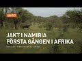 Jakt i Namibia, första gången i Afrika