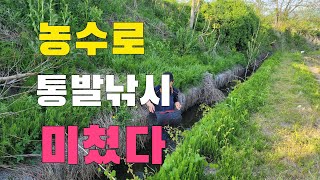 농수로에 들깨묵 미끼를 통발에 넣었더니!!! 결과는???  술안주는 직접 잡아서 만들어 먹어보자
