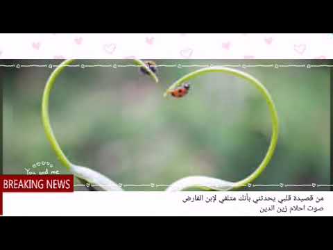 قلبي يحدثني بانك متلفي لابن الفاضل