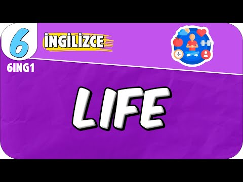 Life 📚 6ING1 #2025