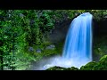 Epic Waterfall White Noise | Sound of a Waterfall For Sleep, Relaxation or Focus