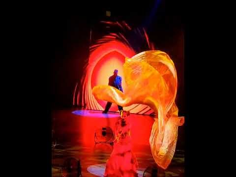 Skyfall (Cover) - Incredible Flying Vail Show - Live Performances on Carnival Cruise