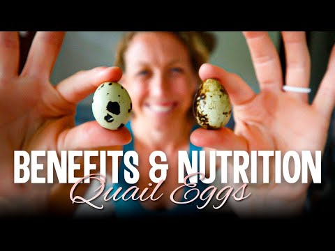 The Benefits and Nutrition of Quail Eggs