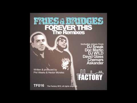 Fries & Bridges-Forever This (Dj Sneak Forever Mix).