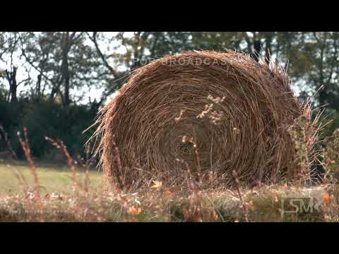 10-21-2022 Lexington, KY - Fall Drought leading to Concern for Cattle Farmers
