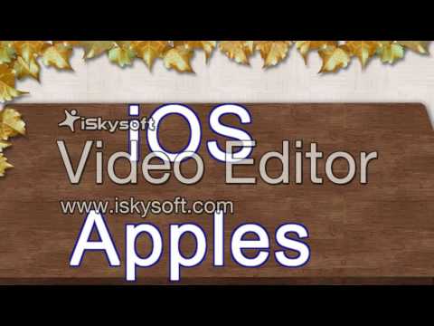 Hally Tropical Radio & DJ Armas Entertainment