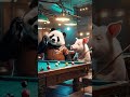 Cat And Bear Funny Video Cat Bear Funnyvideo