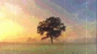 showbread-the beginning (anorexia)