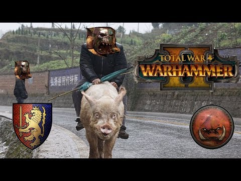 Bretonnia vs Greenskins | PIGTONIA - Total War Warhammer 2