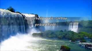 Motivation - Glücklich sein ist so einfach - Dankbarkeit öffnet Dein Herz